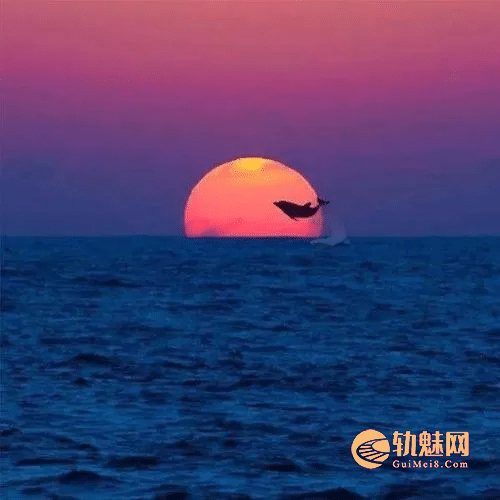 天亮、说早安……